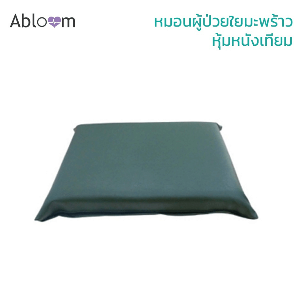 หมอนนอน ใยมะพร้าว หุ้มหนังเทียม ABLOOM 0080037001010_1